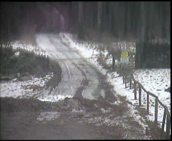 Nástup na běžecké tratě