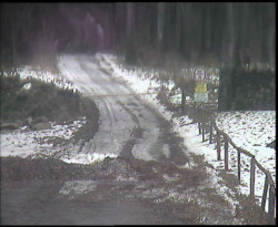 Nástup na běžecké tratě