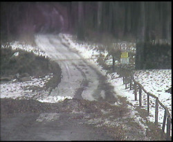 Nástup na běžecké tratě