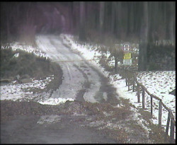 Nástup na běžecké tratě