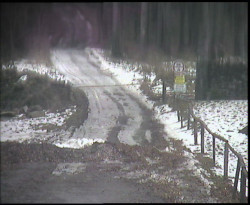 Nástup na běžecké tratě