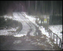 Nástup na běžecké tratě