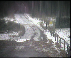 Nástup na běžecké tratě