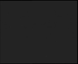 Nástup na běžecké tratě