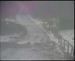 Nástup na běžecké tratě