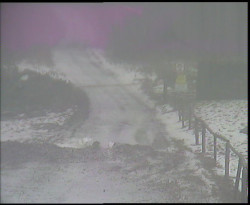 Nástup na běžecké tratě