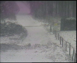 Nástup na běžecké tratě