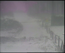 Nástup na běžecké tratě