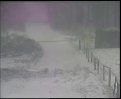 Nástup na běžecké tratě