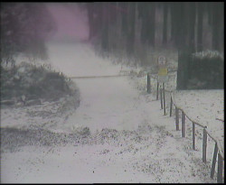 Nástup na běžecké tratě