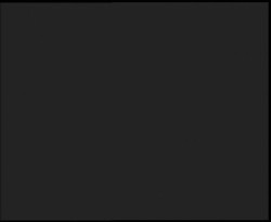 Nástup na běžecké tratě