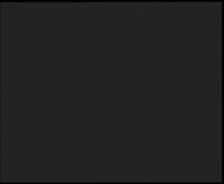 Nástup na běžecké tratě