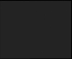 Nástup na běžecké tratě