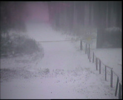 Nástup na běžecké tratě