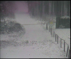 Nástup na běžecké tratě