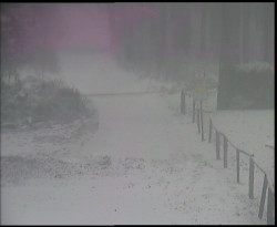 Nástup na běžecké tratě