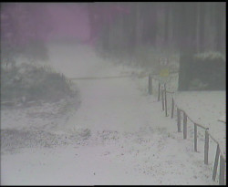 Nástup na běžecké tratě