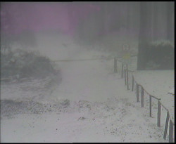 Nástup na běžecké tratě