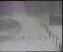 Nástup na běžecké tratě