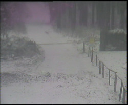 Nástup na běžecké tratě