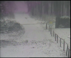 Nástup na běžecké tratě