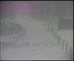 Nástup na běžecké tratě