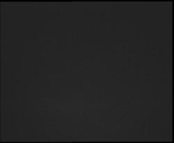 Nástup na běžecké tratě