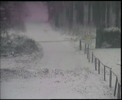 Nástup na běžecké tratě