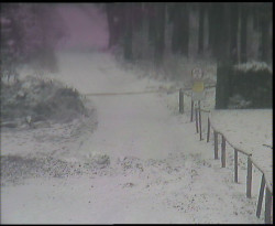 Nástup na běžecké tratě