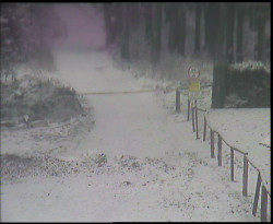 Nástup na běžecké tratě