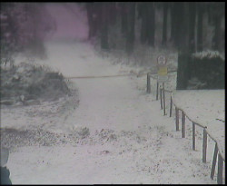 Nástup na běžecké tratě