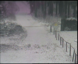 Nástup na běžecké tratě