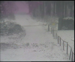 Nástup na běžecké tratě