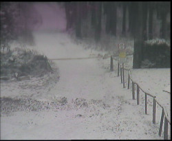 Nástup na běžecké tratě