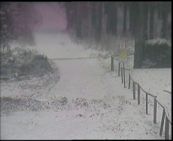 Nástup na běžecké tratě