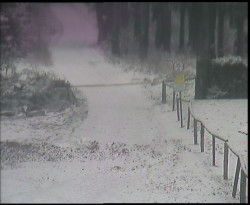 Nástup na běžecké tratě