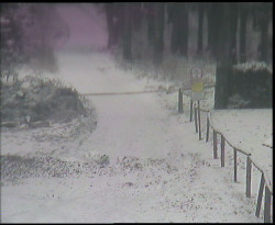 Nástup na běžecké tratě