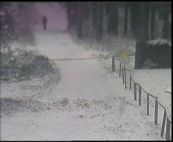 Nástup na běžecké tratě