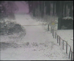 Nástup na běžecké tratě