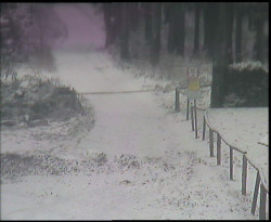 Nástup na běžecké tratě