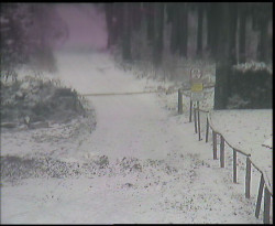 Nástup na běžecké tratě