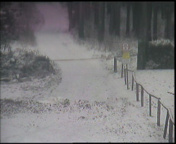 Nástup na běžecké tratě