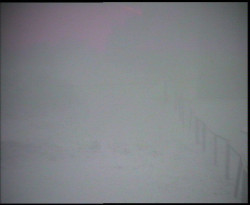 Nástup na běžecké tratě