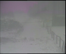 Nástup na běžecké tratě