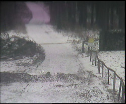 Nástup na běžecké tratě