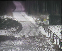 Nástup na běžecké tratě