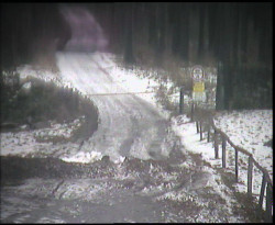 Nástup na běžecké tratě