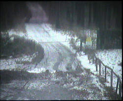 Nástup na běžecké tratě