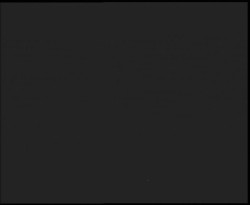 Nástup na běžecké tratě