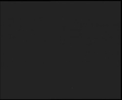 Nástup na běžecké tratě